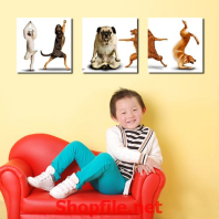 những chú chó nhảy múa