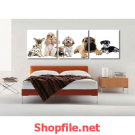 những chú chó cảnh đáng yêu