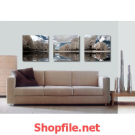 phong cảnh rừng cây và con sông