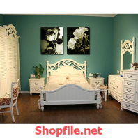 bông hồng trắng đang nở