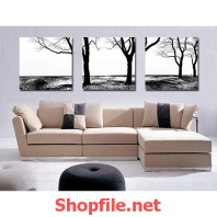 những cái cây chết khô