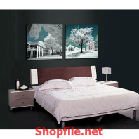 nhà trắng và những cái cây