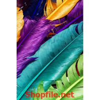 chiếc lông vũ nhiều màu sắc