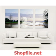 khung cảnh mùa đông về xe chiều