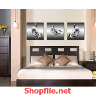 những con bướm 3D