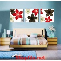 những bông hoa đơn lẻ muôn màu