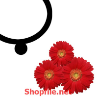 bông hoa nhiều cánh màu đỏ