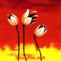 những bông hoa trong biển lửa