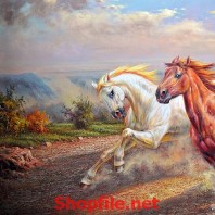 những chú ngựa chạy trên đồng cỏ