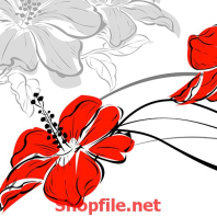 bông hoa màu đỏ phong thủy