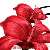 bông hoa sắc đỏ và chim én