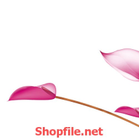 đám hoa mùa hồng đẹp