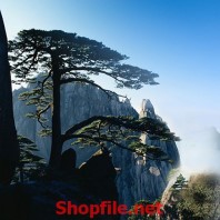 tranh dán tường phong cảnh núi non