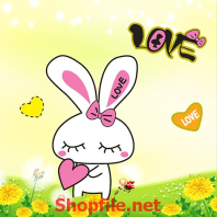 chú thỏ trắng xinh xắn