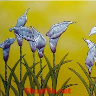 đồng hoa thơm ngát