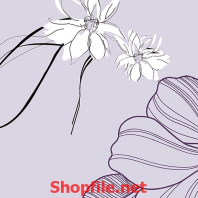 tranh dán tường bông hoa mềm mại