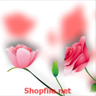 bông hoa mười giờ xinh xắn