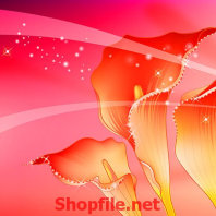 bông hoa đỏ rực