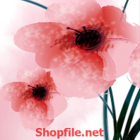 bức họa bông hoa hồng đẹp