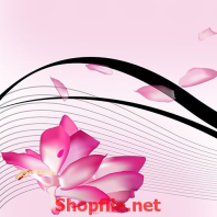 những cánh hoa sen thơm ngát