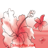 hoa dâm bụt màu hồng