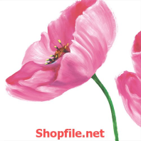 bông hoa súng màu hồng