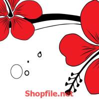 những cánh hoa phượng đỏ rực