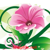 cây hoa leo hồng tươi