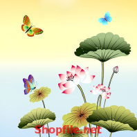 đầm sen và những chú bướm nhỏ