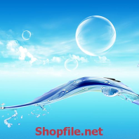 chú cá và biển cả