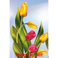 những bông hoa dại nở rộ