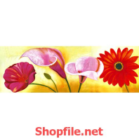 những bông hoa dại đua sắc