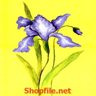 bông hoa xanh và đỏ