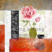 bông hoa trắng hồng