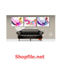 căn phòng sang trọng