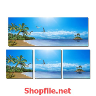 bãi biển buổi sáng sớm