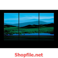 bức hình sông và rừng xanh