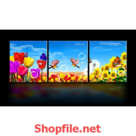 bức ảnh cánh đồng hoa và con bướm