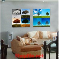 những cái cây hùng vĩ