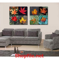 chiếc lá mùa thu