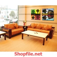 những cái cây to lớn