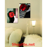 bông hoa hồng và cây đàn