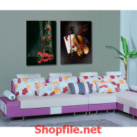 hoa hồng và cây đàn