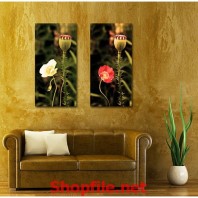 tranh dán tường bông hoa trắng và hồng