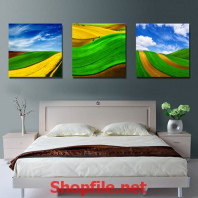 tranh dán tường cánh đồng hoa tuy líp