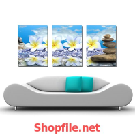 tranh dán tường bông hoa sứ trên đá sỏi