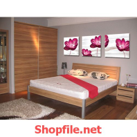 bông hoa sen hồng tranh dán tường