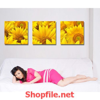 tranh dán tường bông hoa cúc quỳ vàng