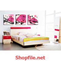 bông hoa cúc tím tranh dán tường