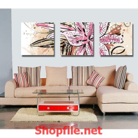 bông hoa phong lan bị nấm đen trên hoa